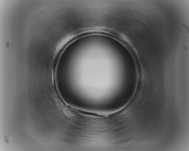 X0000099461320200805161037