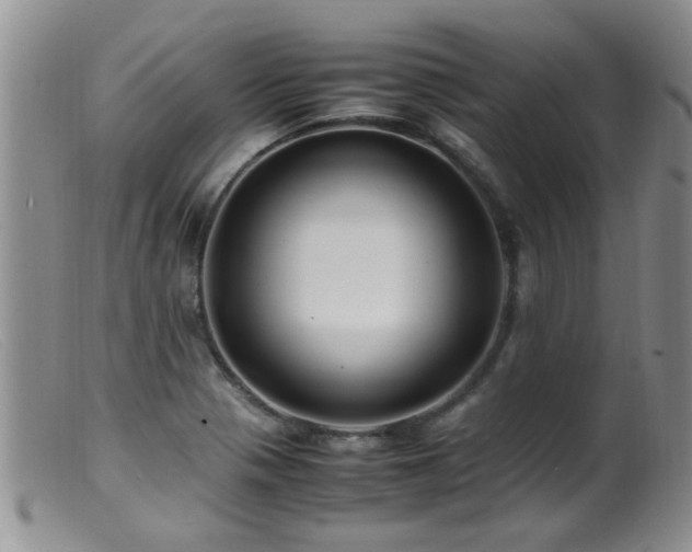 X0000099461321200805161037