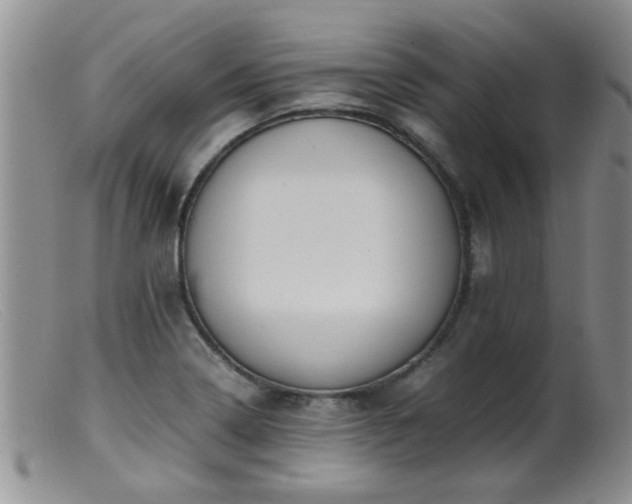 X0000099461322200805161037