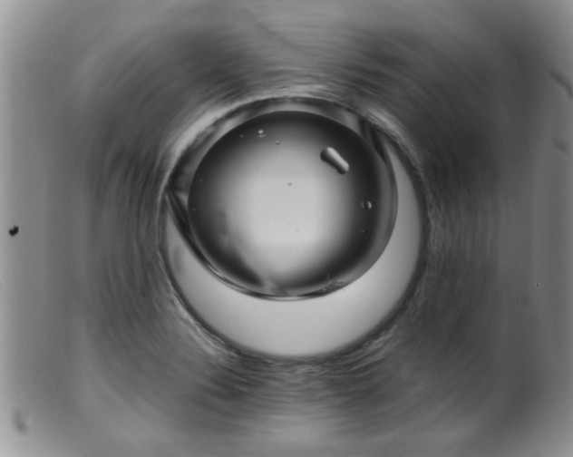 X0000099461324200805161037