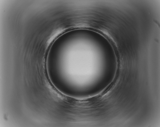 X0000099461325200805161037