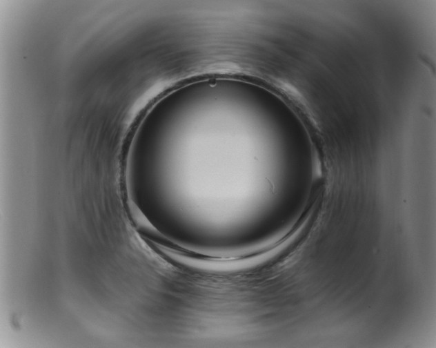 X0000099461326200805161037