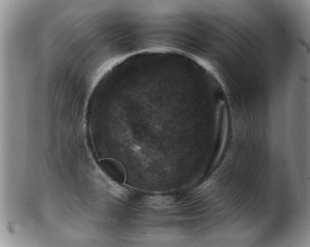 X0000099461327200805161037