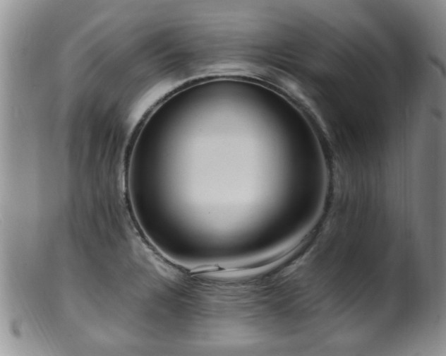 X0000099461328200805161038