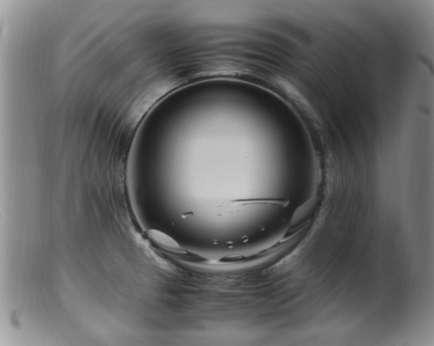 X0000099461329200805161038