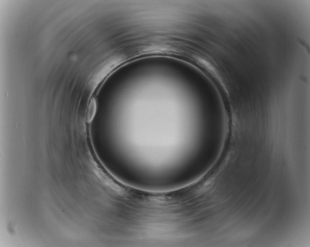 X0000099461330200805161038