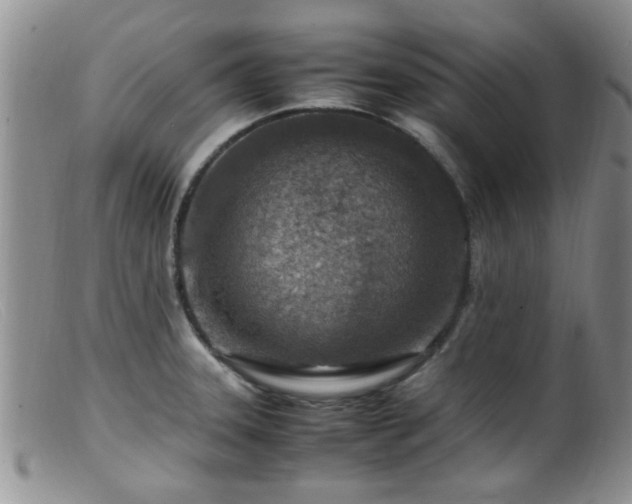 X0000099461331200805161038