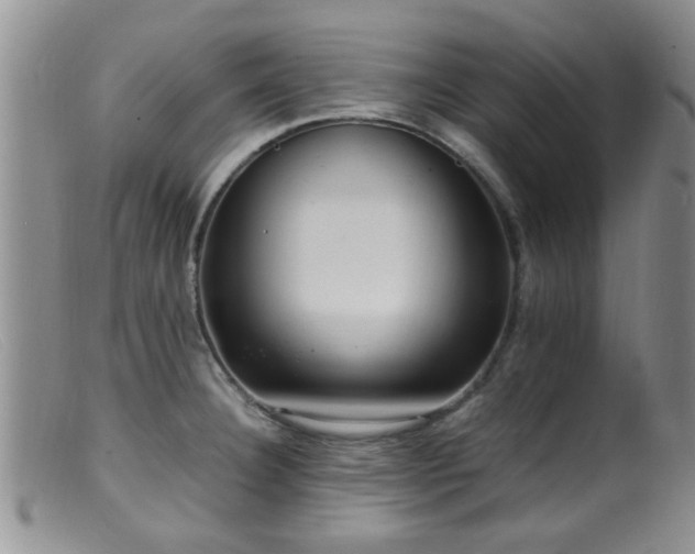 X0000099461332200805161038