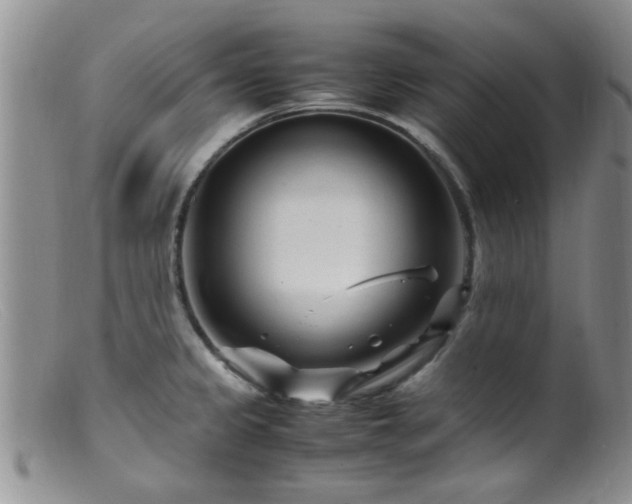 X0000099461333200805161038