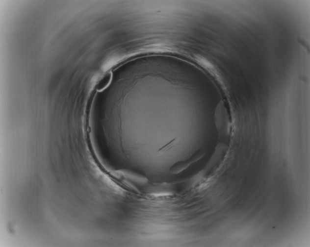 X0000099461334200805161038