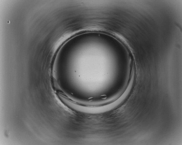 X0000099461335200805161038