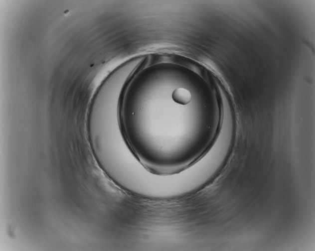 X0000099461336200805161038