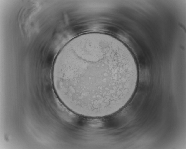 X0000099461338200805161038