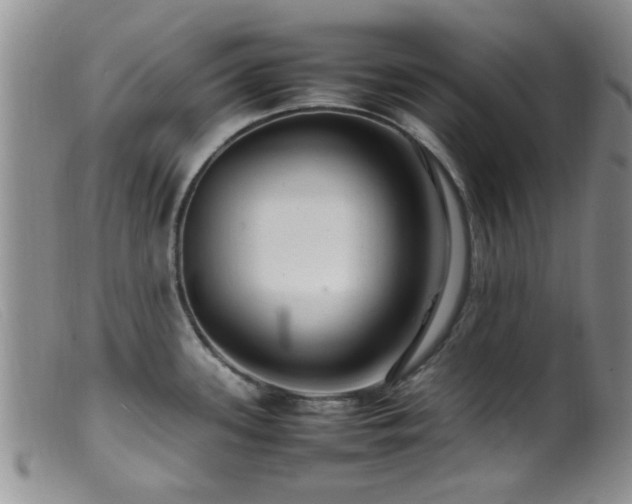 X0000099461339200805161038