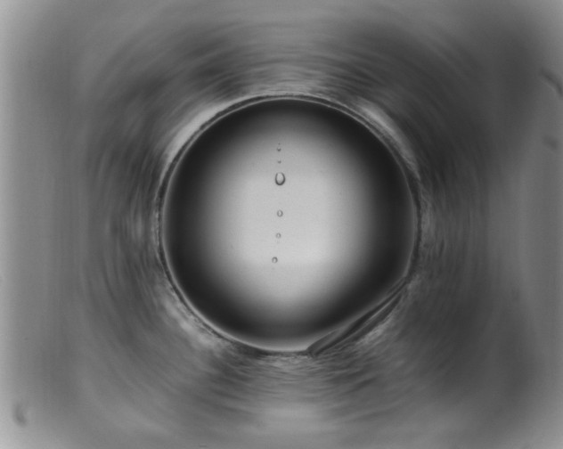 X0000099461340200805161038