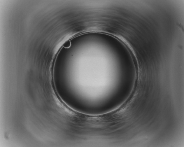 X0000099461341200805161038