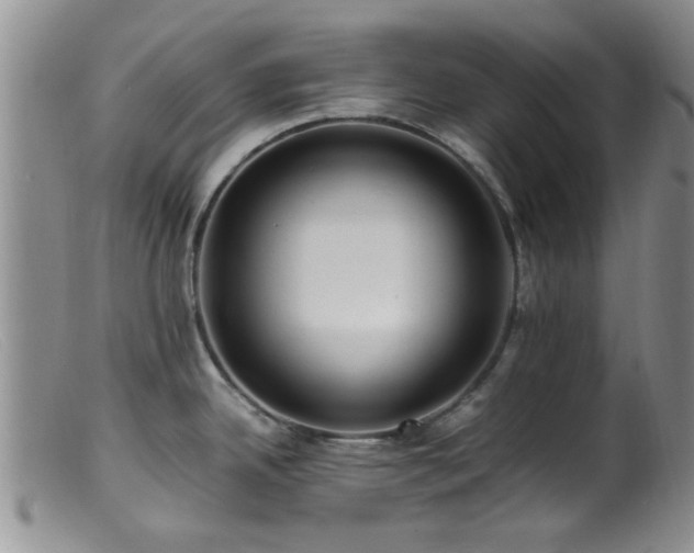 X0000099461342200805161038