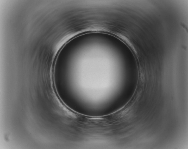 X0000099461343200805161038