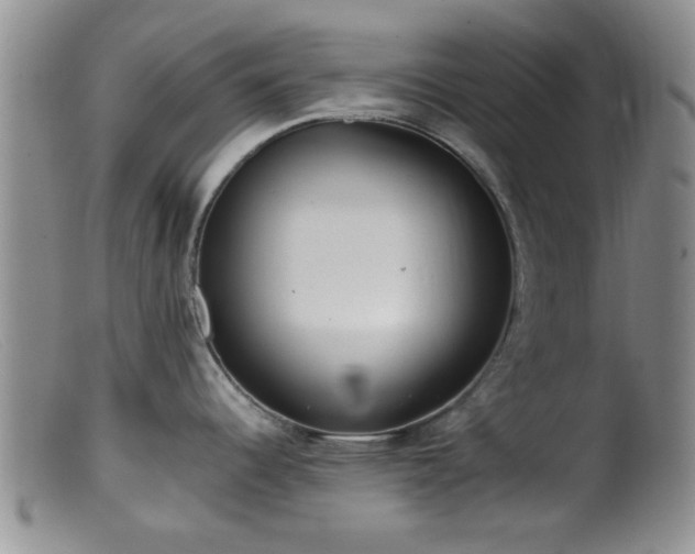 X0000099461344200805161038