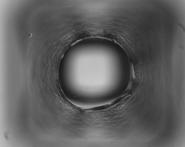 X0000099461345200805161037