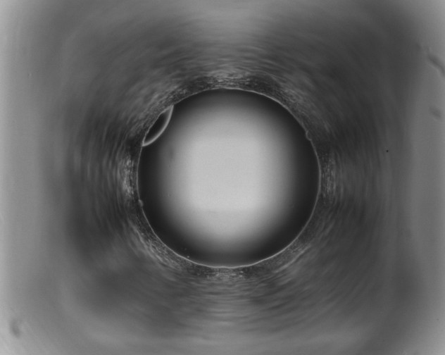 X0000099461346200805161037