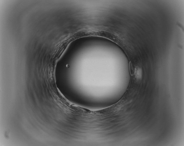 X0000099461348200805161037