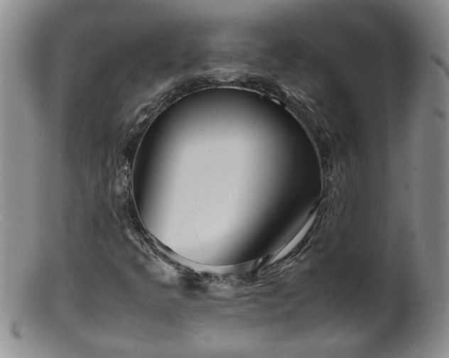 X0000099461349200805161037