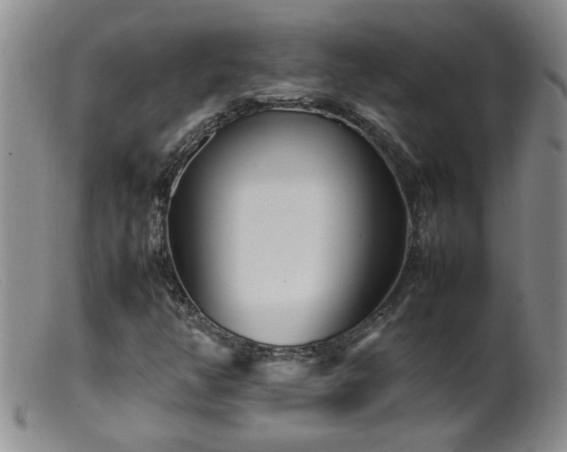 X0000099461350200805161037