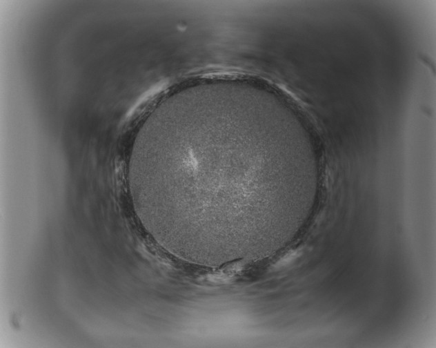 X0000099461351200805161037