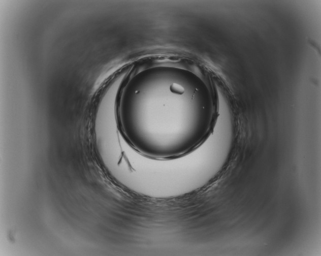 X0000099461352200805161037