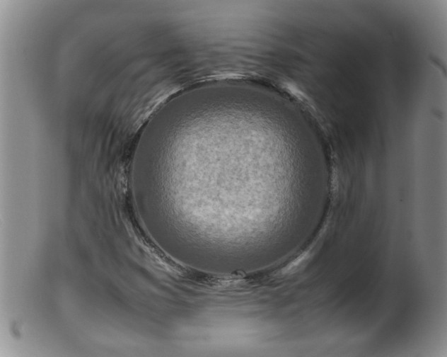 X0000099461353200805161037