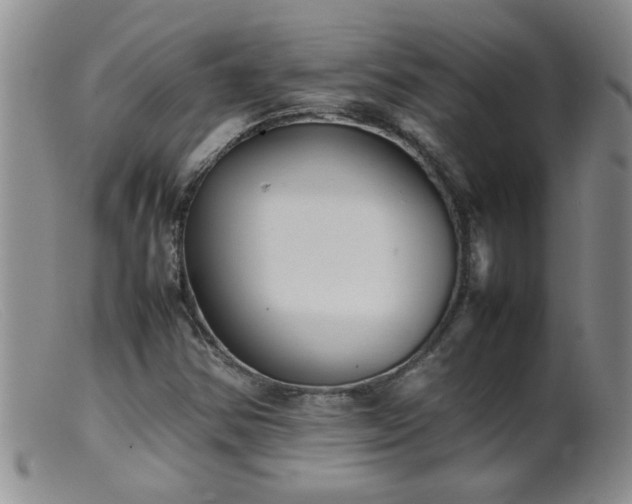 X0000099461354200805161037