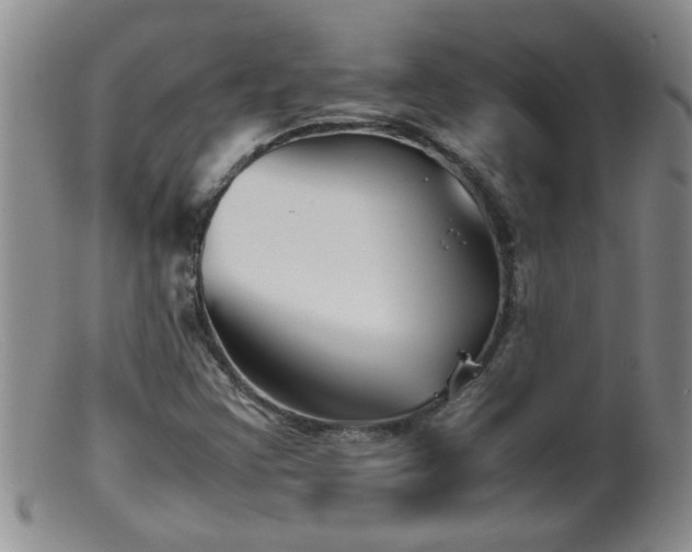 X0000099461355200805161037