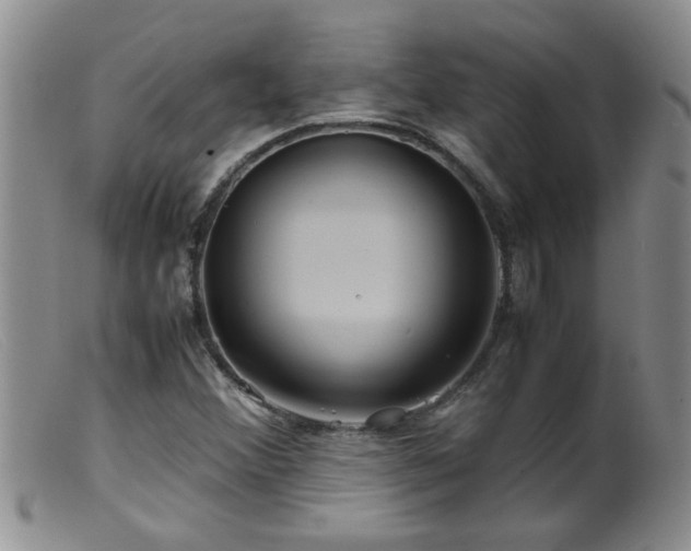 X0000099461356200805161037