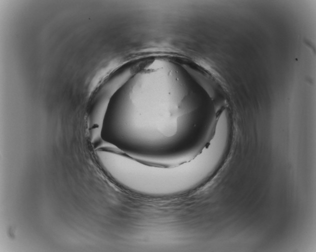 X0000099461357200805161037