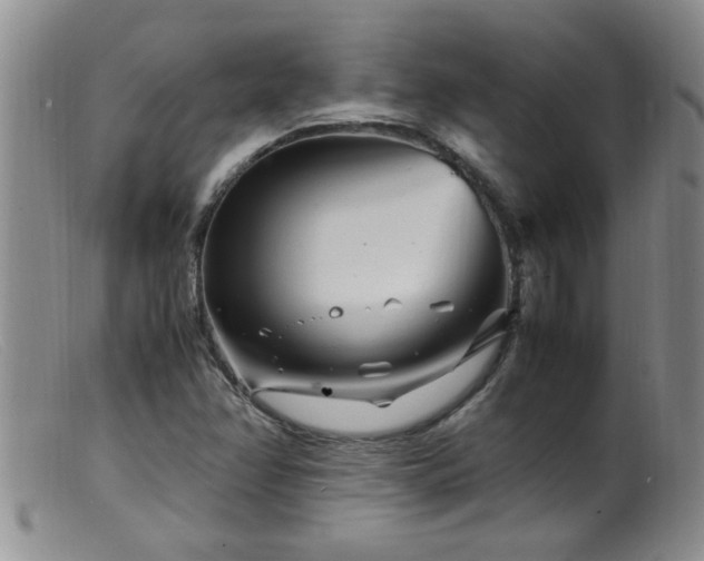 X0000099461358200805161037