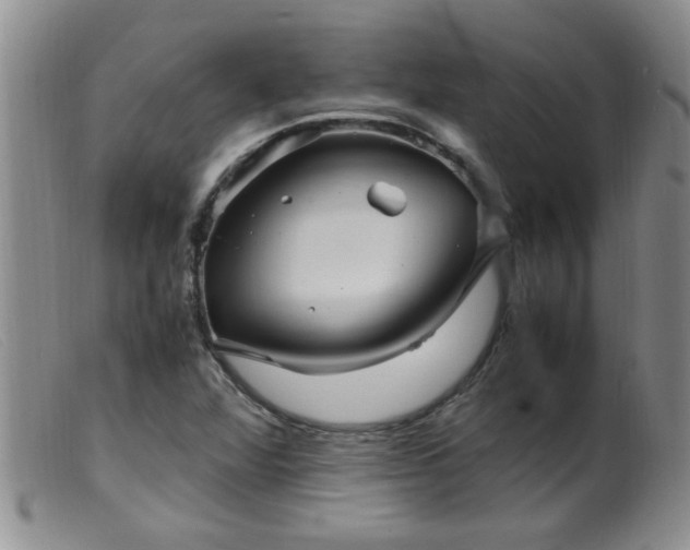 X0000099461360200805161037