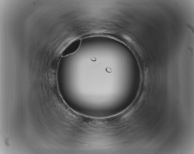 X0000099461361200805161037