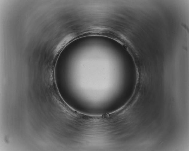 X0000099461362200805161037