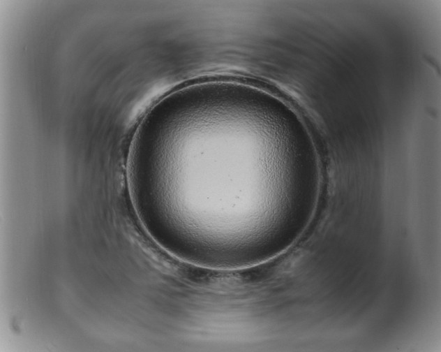 X0000099461363200805161037