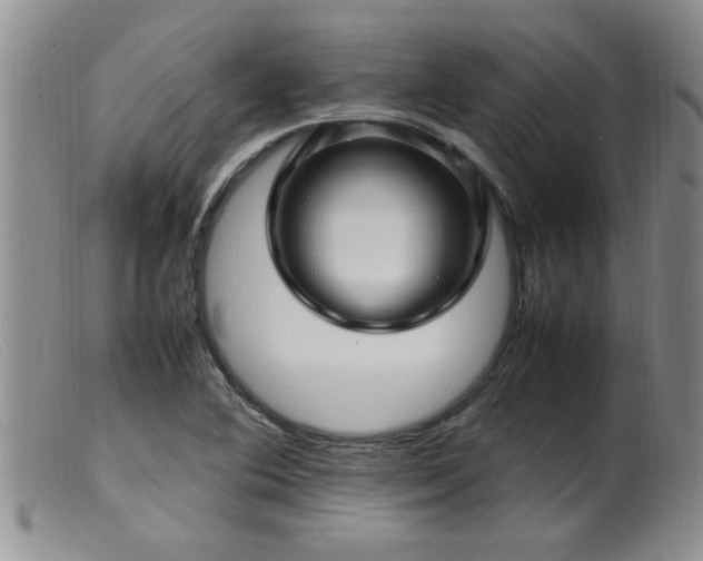 X0000099461364200805161037