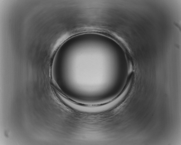 X0000099461365200805161037