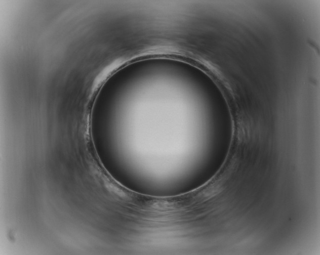 X0000099461366200805161037