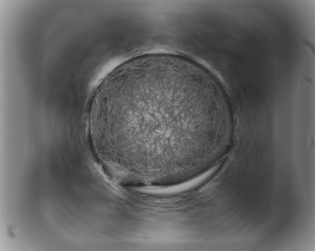 X0000099461367200805161037