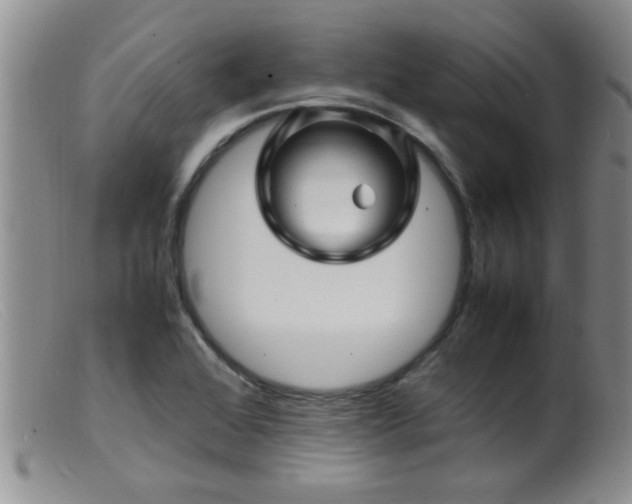 X0000099461368200805161037