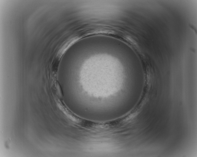 X0000099461369200805161037