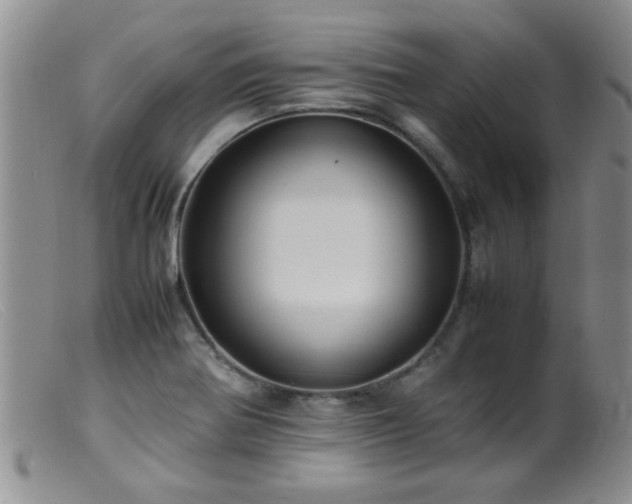 X0000099461370200805161037