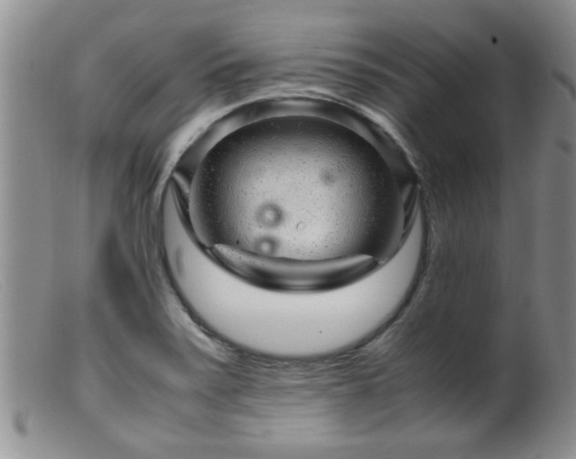 X0000099461371200805161036