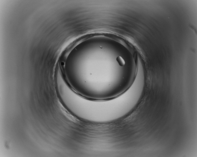 X0000099461372200805161036