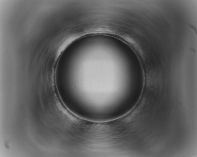 X0000099461374200805161036